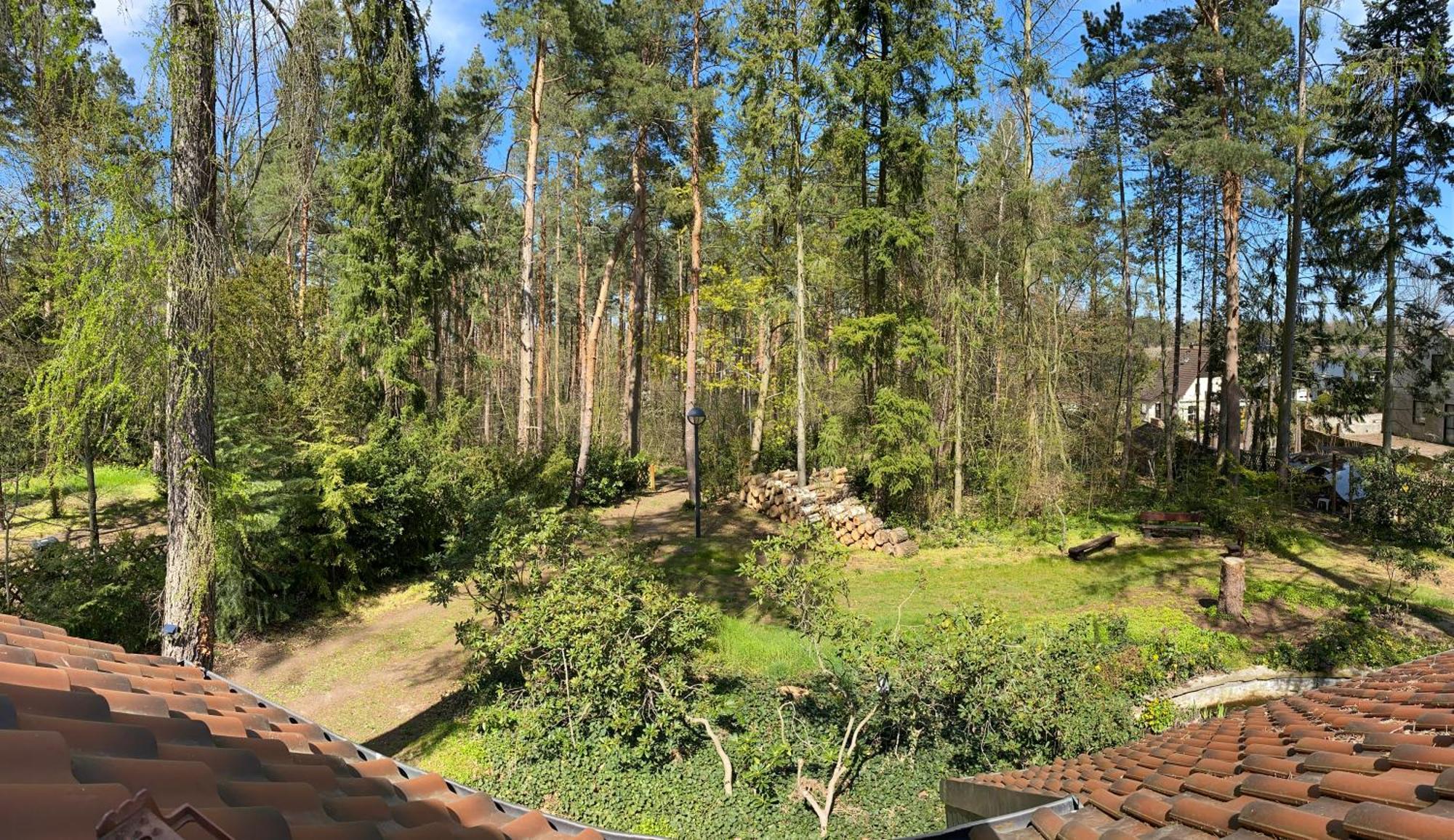 Waldhaus Eichhoernchen Бад-Шмидеберг Экстерьер фото